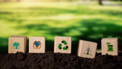 Sustainable Land Development